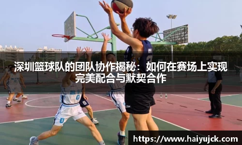 深圳篮球队的团队协作揭秘：如何在赛场上实现完美配合与默契合作